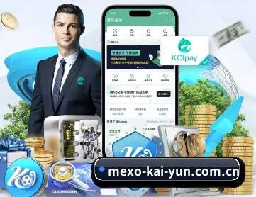 开云网站 APP 深度功能
